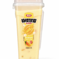 WB Tejes tea ital mangó ízű 500g
